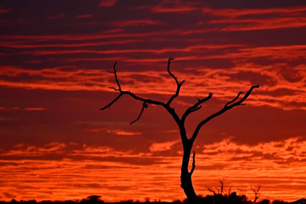 bdm august2025 sk sunrise