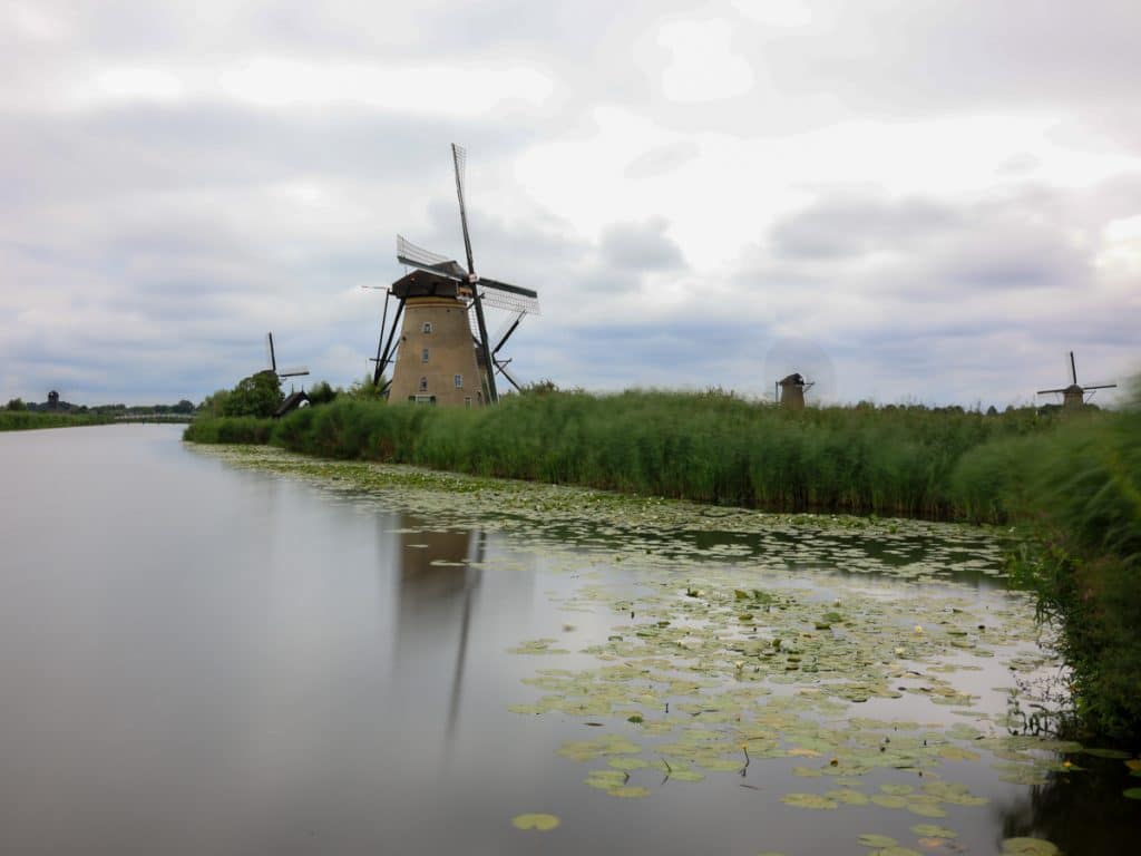 bettina bdm windmuehlen