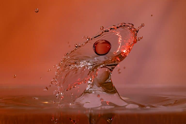 Bild(er) des Monats März 2026 –  Platz 1 Hermann Mohr