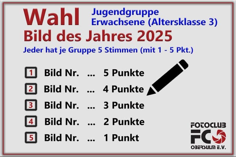 Wahl „Bild des Jahres 2025“ Erwachsene & Jugend