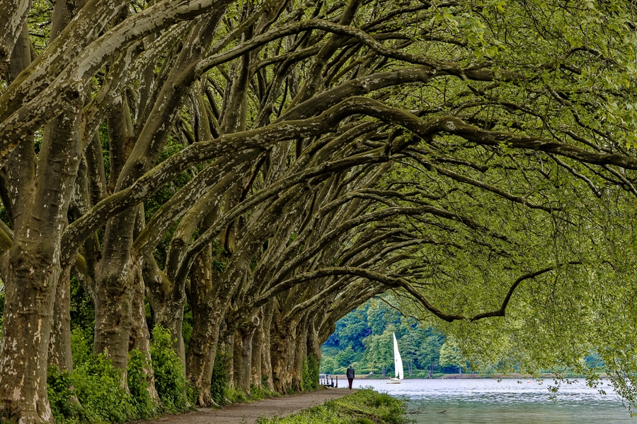 platanenallee am baldeneysee