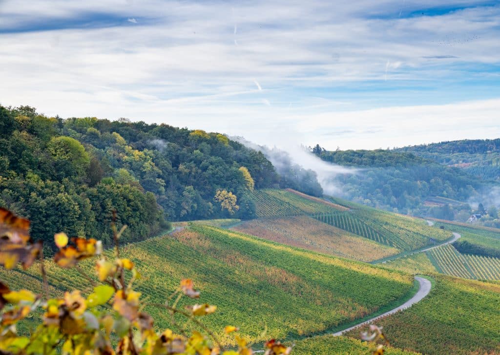 fco wanderung 1 von 4