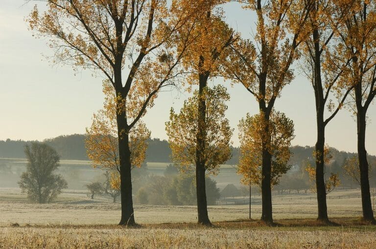 Herbstwanderung im Zabergäu