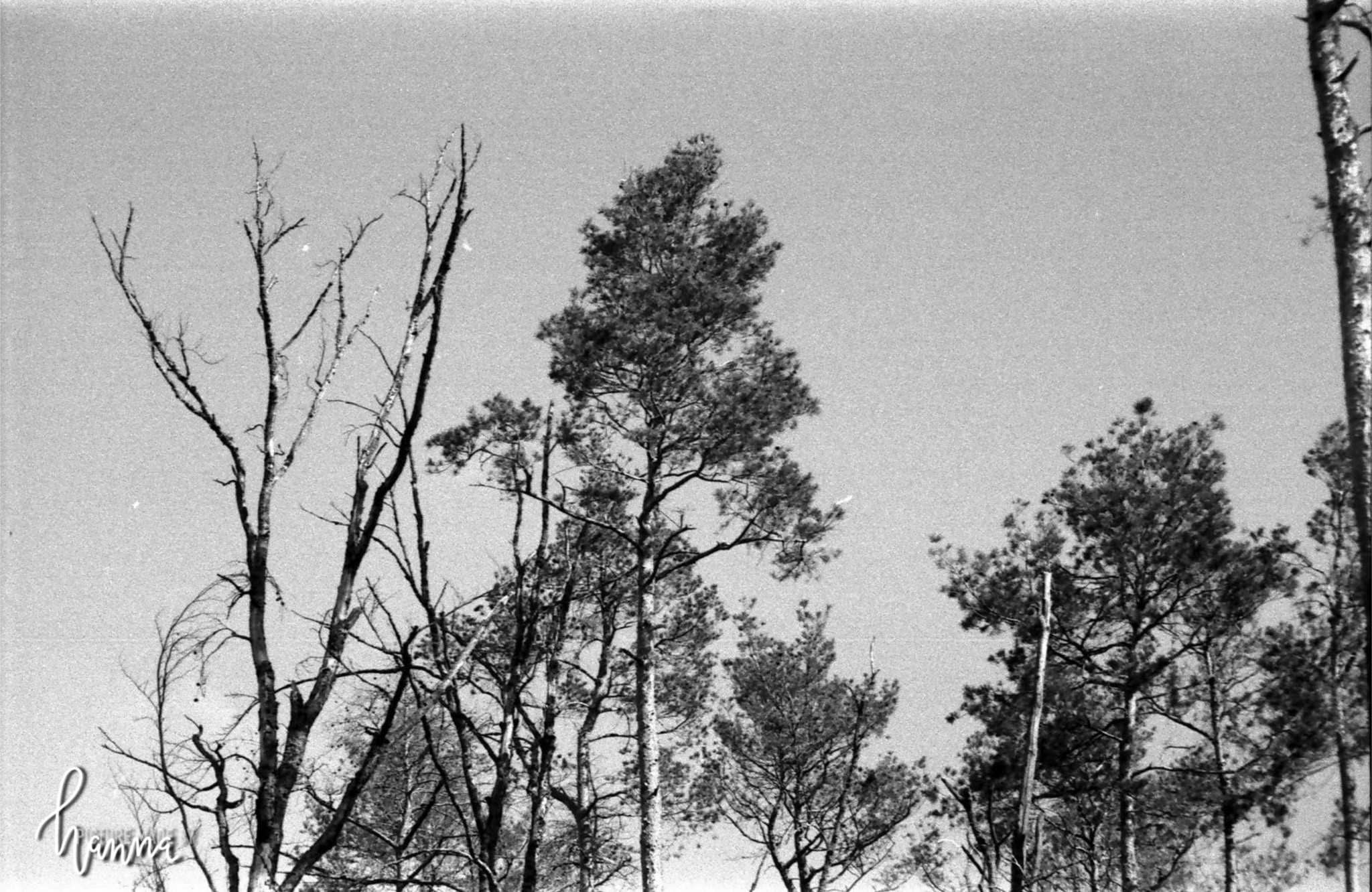 foto 15.04.22 13 19 53
