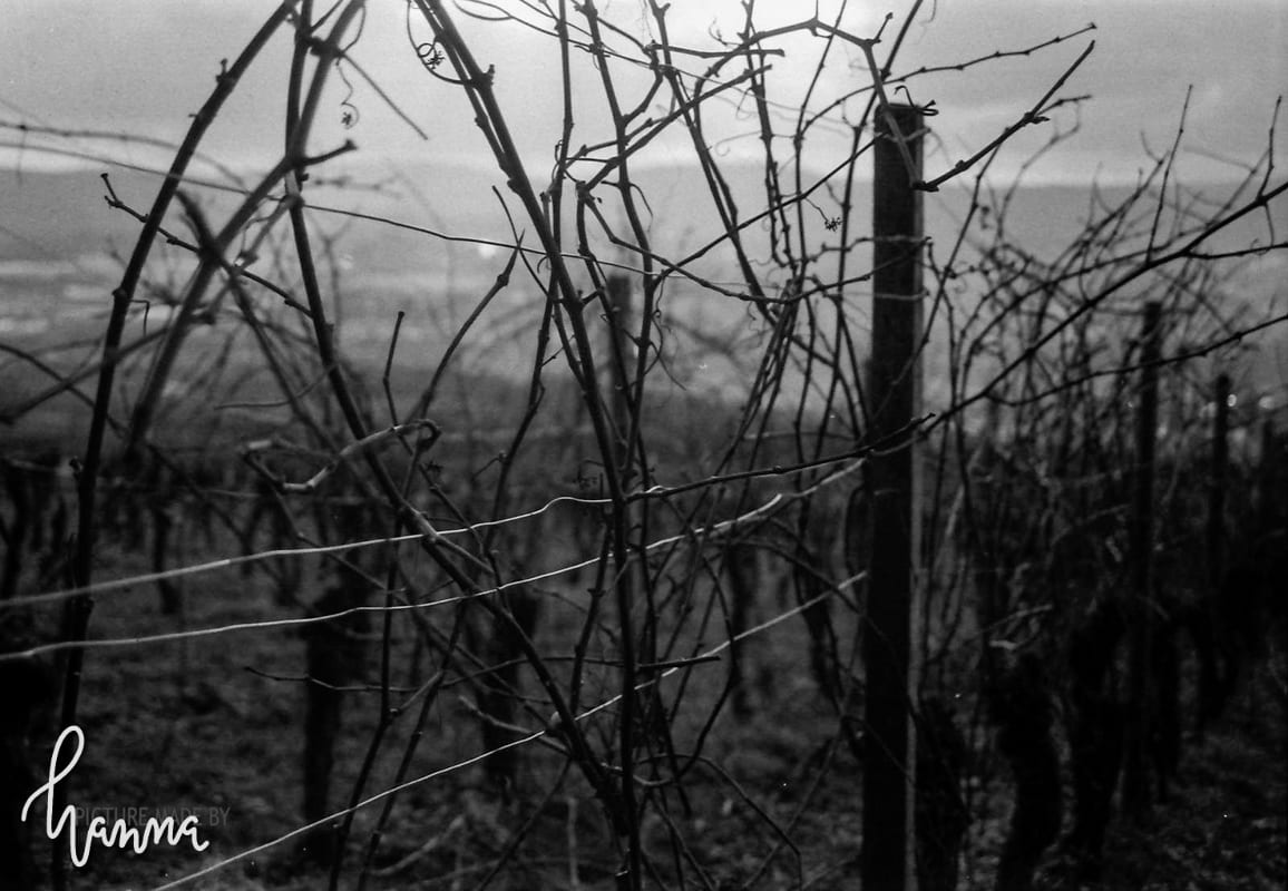 foto 15.04.22 13 30 26