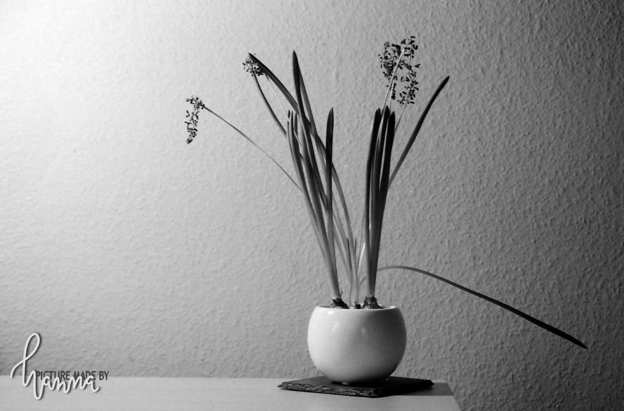 foto 15.04.22 13 30 29 1