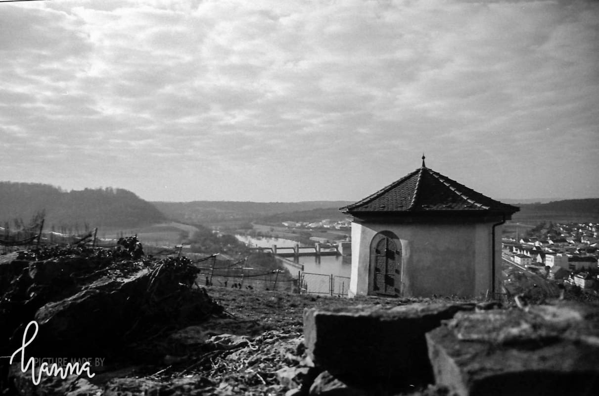 foto 15.04.22 13 30 29