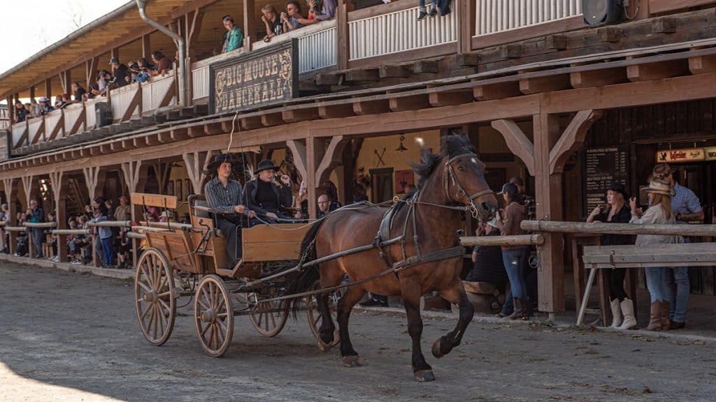 wild west show