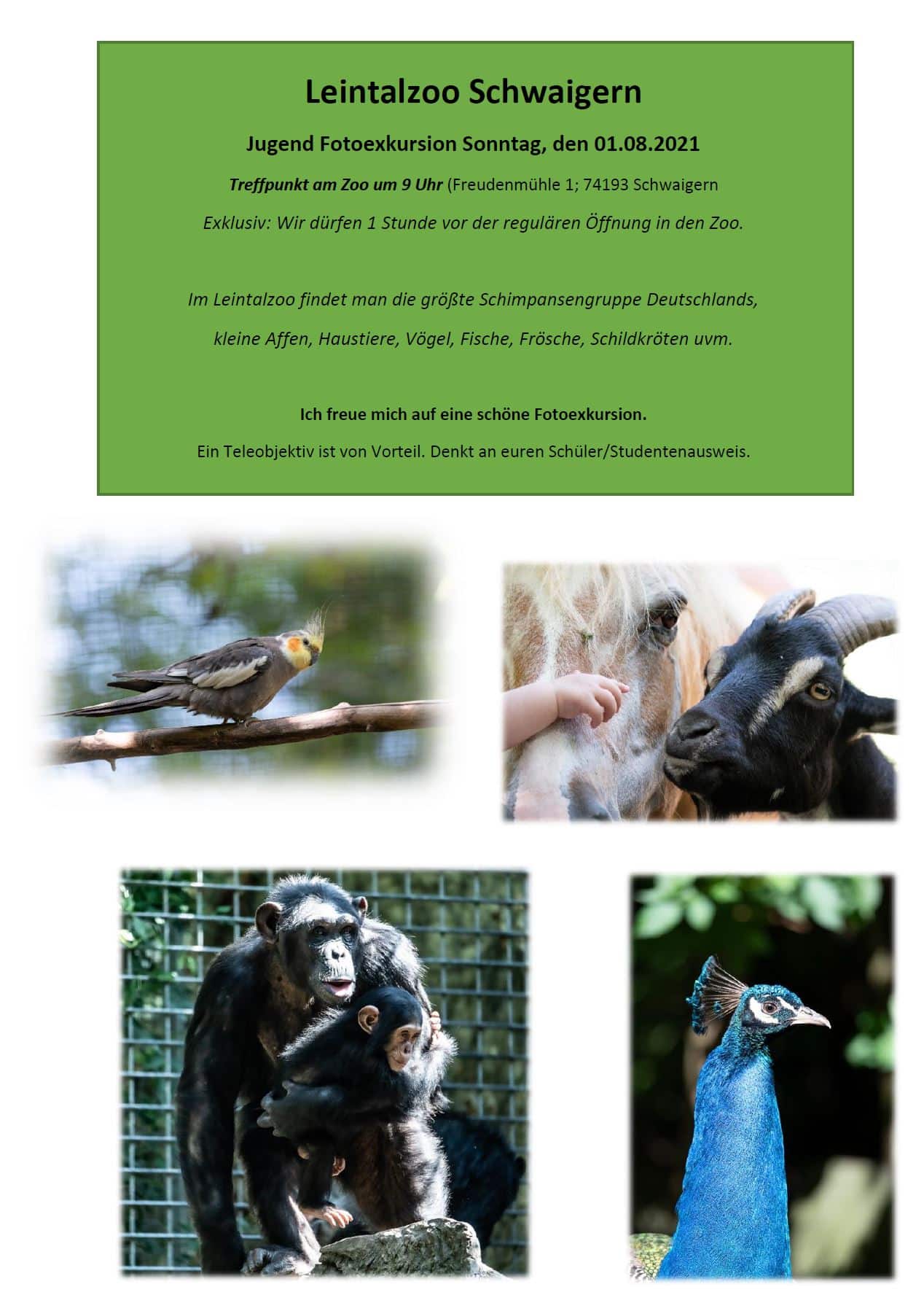 Jugend Fotoclub on tour - Leintalzoo Schwaigern am 01.08.2021