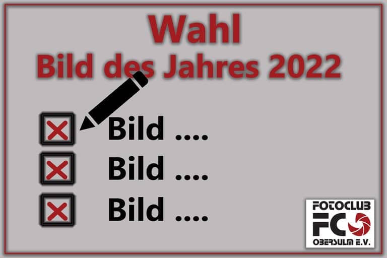 Wahl „Bild des Jahres 2022“